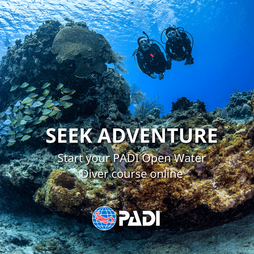 PADI Open Water kurs