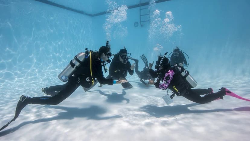 PADI ReActivate – Fräscha upp dina dykkunskaper
